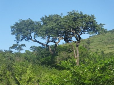 HIgameReserve (48)