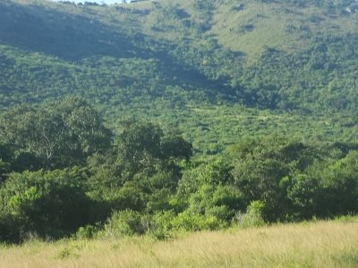 HIgameReserve (52)