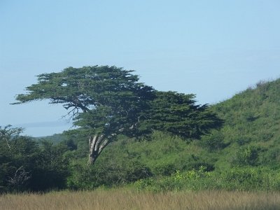 HIgameReserve (53)