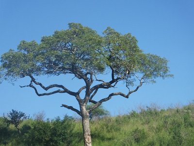 HIgameReserve (54)