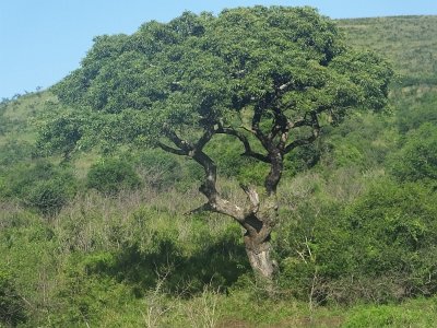 HIgameReserve (58)