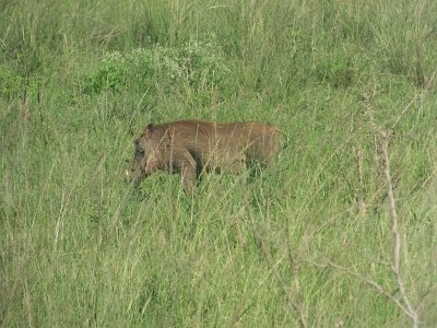 HIgameReserve (59)