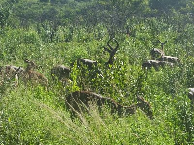 HIgameReserve (62)