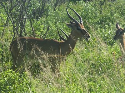 HIgameReserve (63)