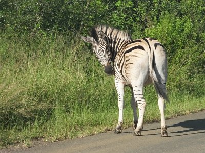 HIgameReserve (71)