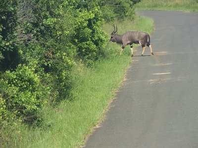 HIgameReserve (79)