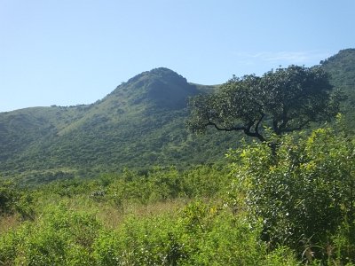 HIgameReserve (81)