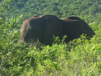 HIgameReserve (82)