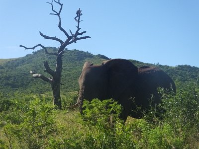 HIgameReserve (86)