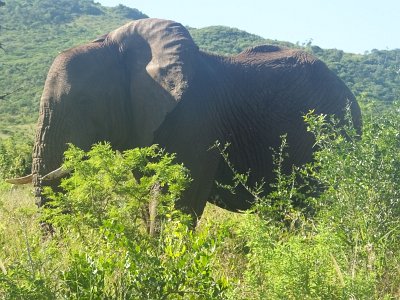 HIgameReserve (89)