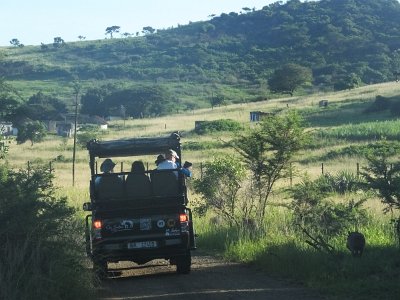 HIgameReserve (9)