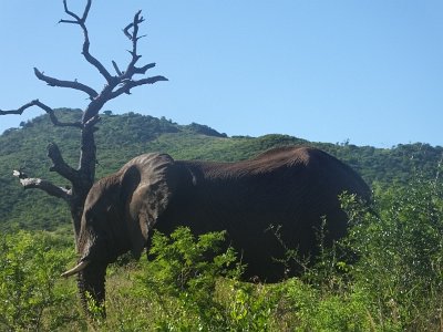 HIgameReserve (91)