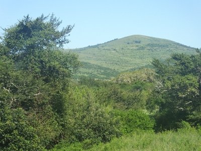 HIgameReserve (95)