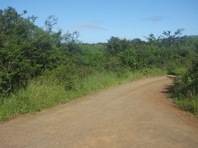 HIgameReserve (96)