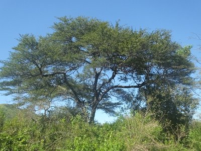 HIgameReserve (99)