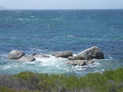 CapeGoodHope (102)