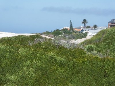 CapeGoodHope (103)