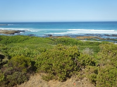 CapeGoodHope (18)