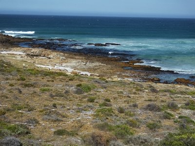 CapeGoodHope (41)