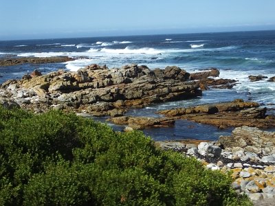 CapeGoodHope (44)