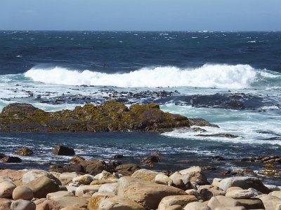 CapeGoodHope (51)