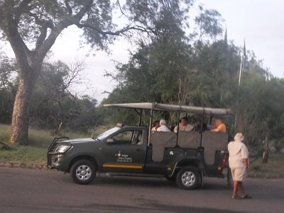 KrugerSafari (1)