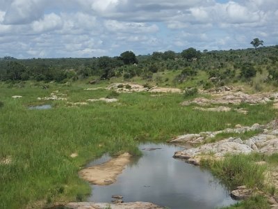 KrugerSafari (103)