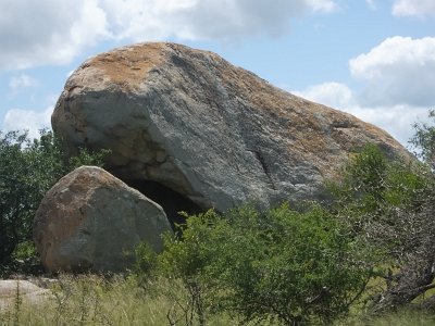 KrugerSafari (143)