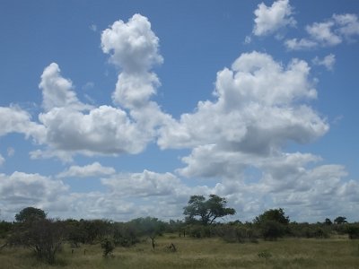 KrugerSafari (148)