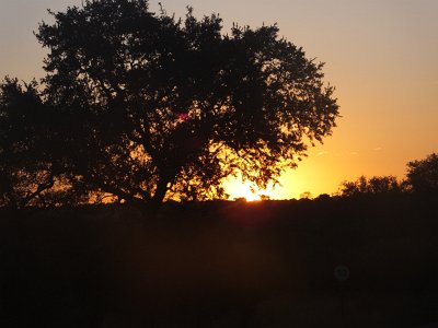 KrugerSafari (2)