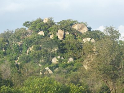 KrugerSafari (22)