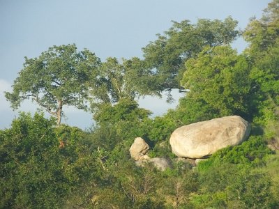 KrugerSafari (23)