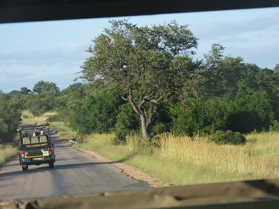 KrugerSafari (32)