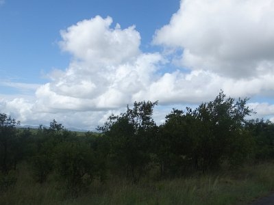 KrugerSafari (61)