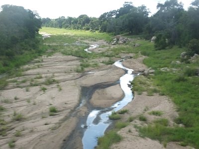 KrugerSafari (62)