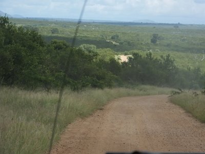 KrugerSafari (80)