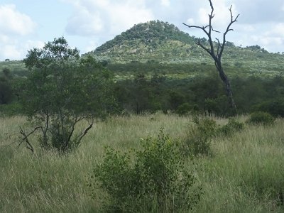 KrugerSafari (81)