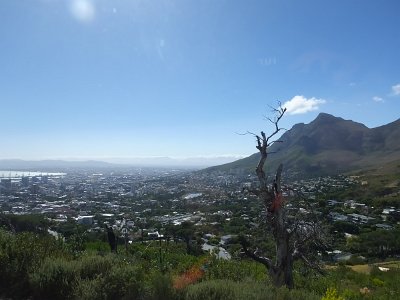 Capetown25 (11)