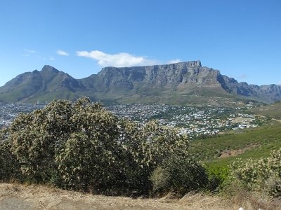 Capetown25 (14)