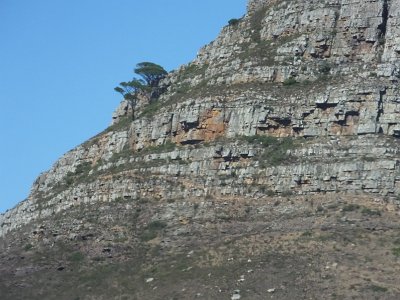 Capetown25 (29)