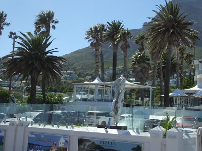 Capetown25 (45)