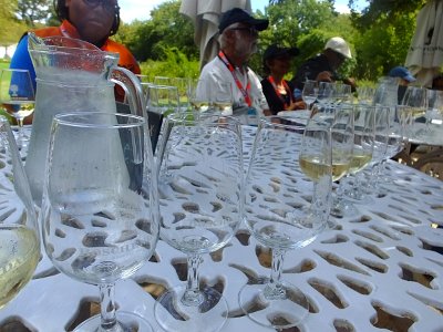 WineTour2SA (12)