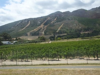 WineTour2SA (147)