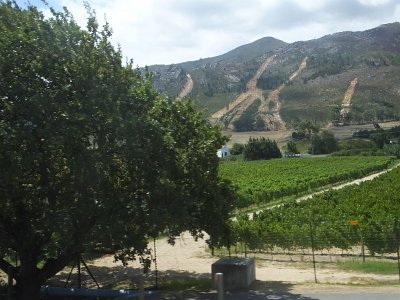 WineTour2SA (148)