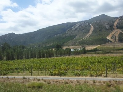 WineTour2SA (149)