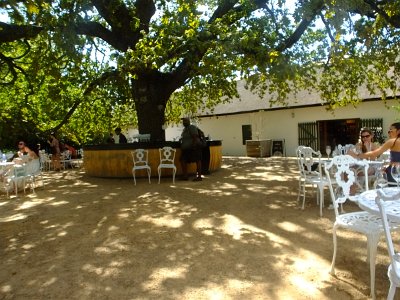 WineTour2SA (15)