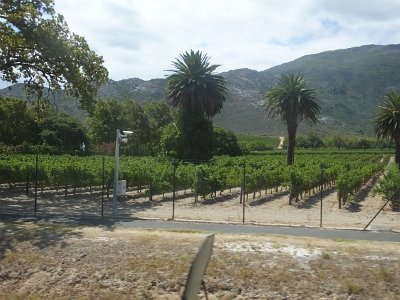 WineTour2SA (153)