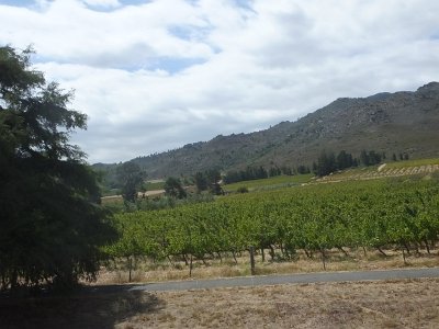 WineTour2SA (155)