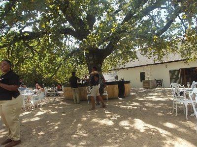 WineTour2SA (16)