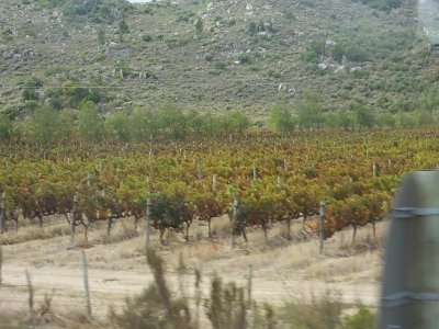 WineTour2SA (169)